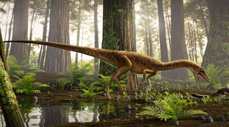 Descubren en Brasil uno de los antepasados más antiguos del T. Rex
