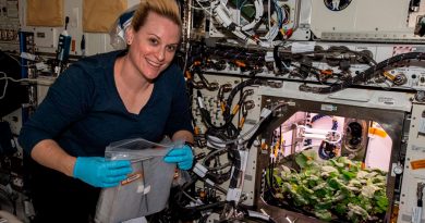 La Estación Espacial cultiva sus primeros rábanos