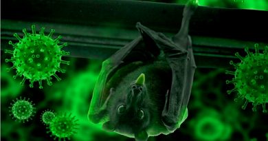 Viróloga dice que hay murciélagos con otros coronavirus con potencial de saltar a los humanos