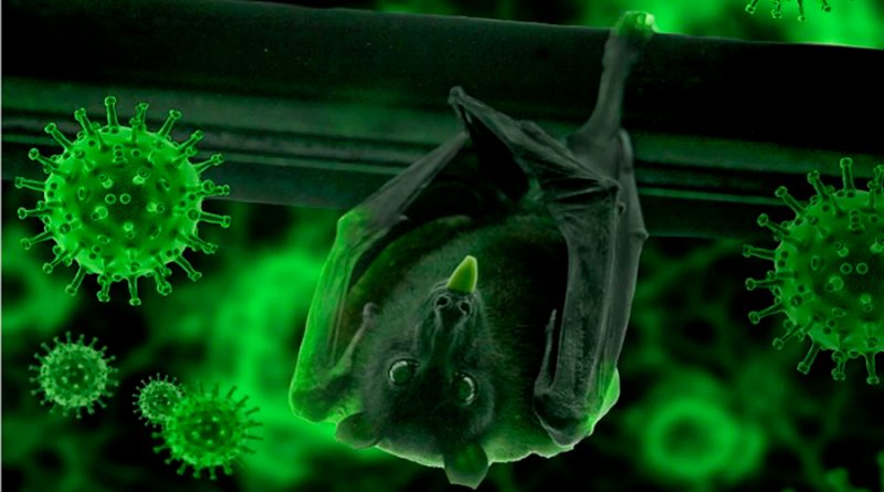 Viróloga dice que hay murciélagos con otros coronavirus con potencial de saltar a los humanos