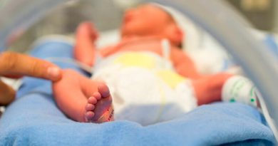 Crearán una placenta artificial para salvar la vida de los bebés prematuros