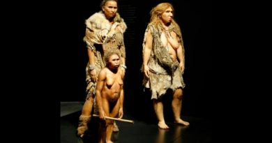 Refuerzan teoría sobre neandertales que enterraban a sus muertos