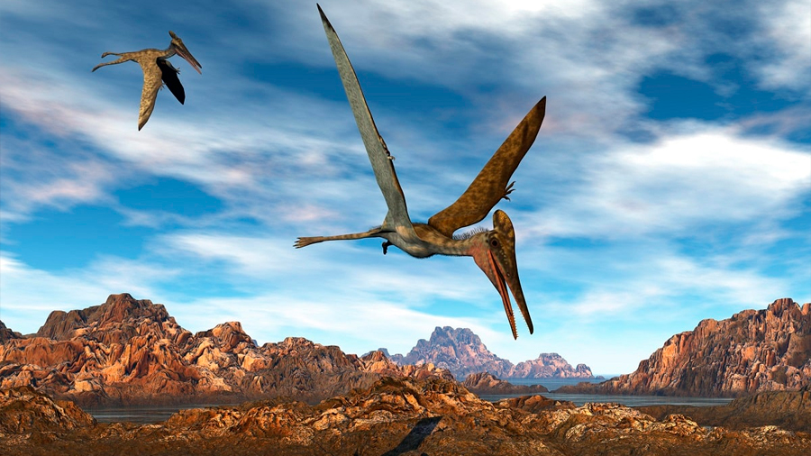 Reconstruyen el árbol genealógico del pterosaurio, el primer reptil volador