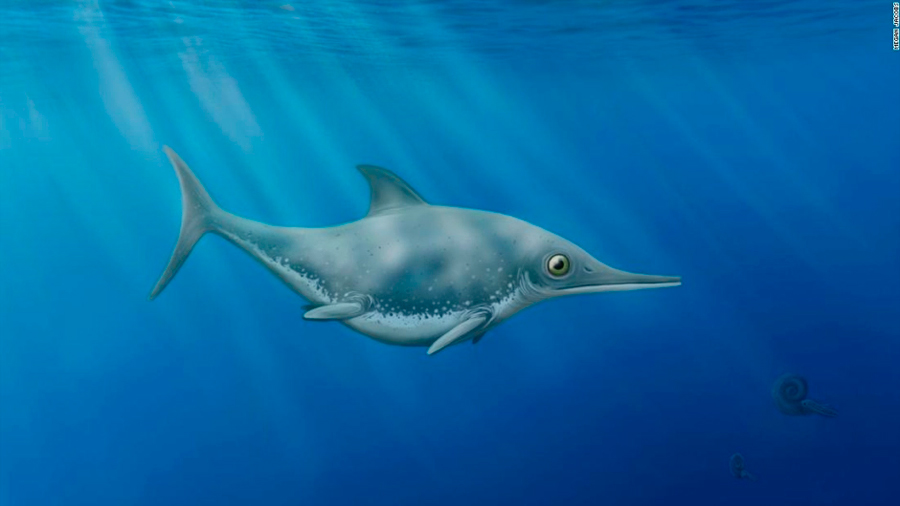 Un cazador de fósiles descubre nueva especie de ‘dragón marino’ frente a la costa inglesa
