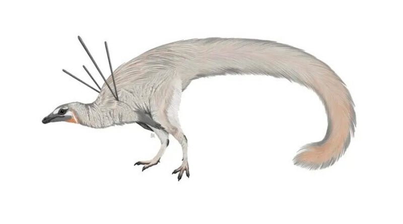 Encuentran el que posiblemente sea el dinosaurio más raro hallado hasta la fecha