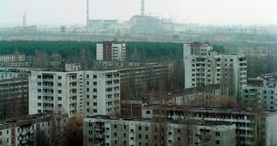 Cultivos de cereal siguen contaminados cerca de Chernobyl