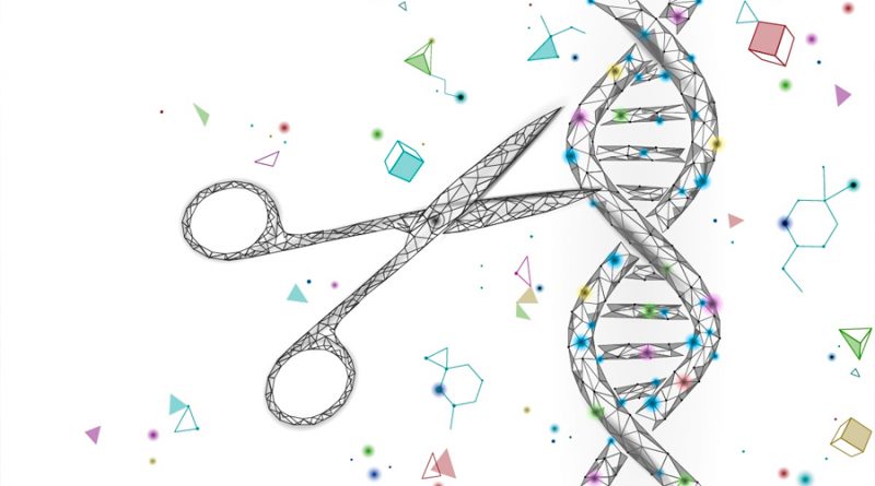 Premio Nobel 2020 a la tijera molecular: CRISPR/Cas9