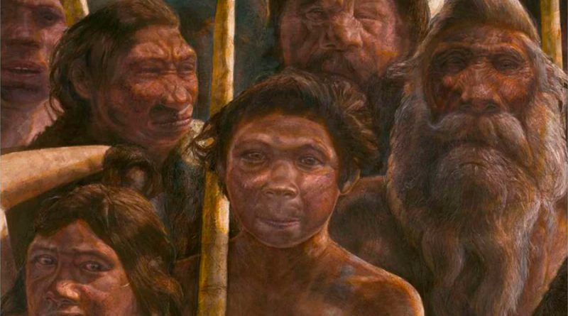 Un estudio sugiere que los antepasados del ser humano también hibernaban