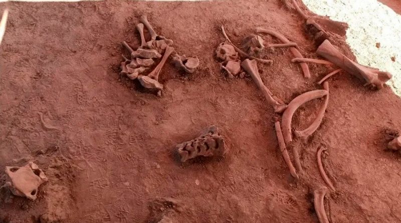 Estos son los hallazgos arqueológicos más impactantes en México del 2020