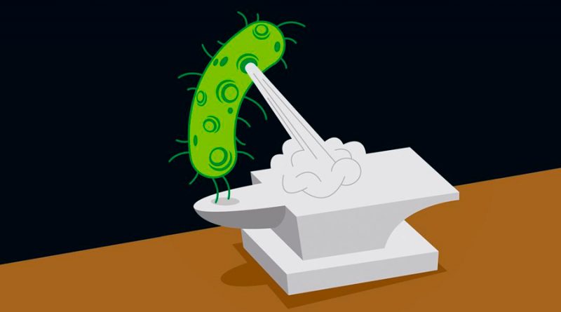 Microbios que fabrican materiales: una bacteria simplifica la síntesis de un prometedor material bidimensional