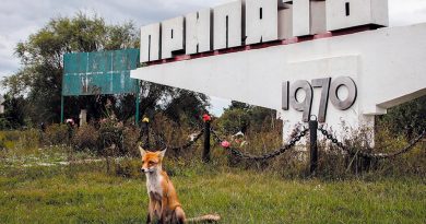 Un estudio confirma que en las áreas más contaminadas de Chernóbil hay menos mamíferos