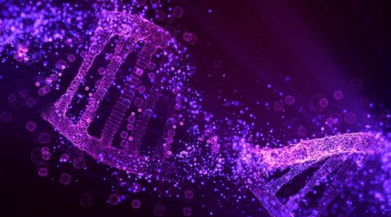 La teoría de que la vida surgió de un mix ARN-ADN gana terreno