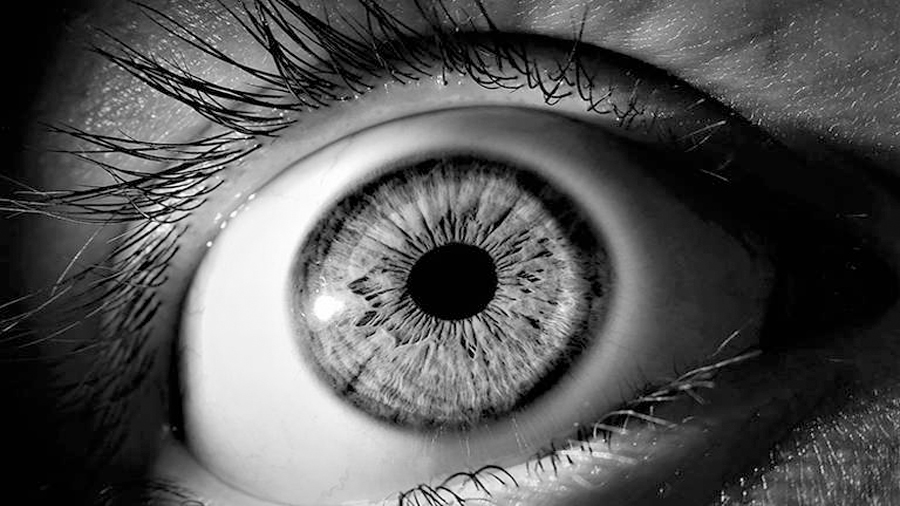Revivir ojos de personas muertas, el futuro para nuevos tratamientos