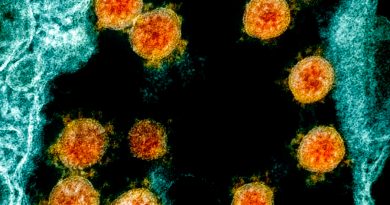 La inmunidad a covid-19 podría mantenerse durante años, plantea estudio en Science