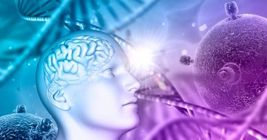 Identifican en el cerebro el ADN que nos hace humanos