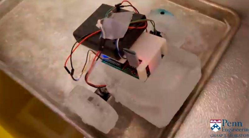 Crean robots hechos de hielo capaces de repararse y reconstruirse mientras exploran otros planetas