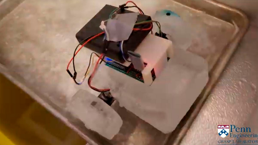 Crean robots hechos de hielo capaces de repararse y reconstruirse mientras exploran otros planetas