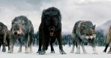 Análisis de ADN antiguo revela secretos de los lobos gigantes, famosos en la serie Juego de tronos