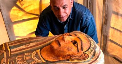 Egipto: Desvelan "tesoros" y 50 sarcófagos de hace 3 000 años del sitio arqueológico de Saqqara