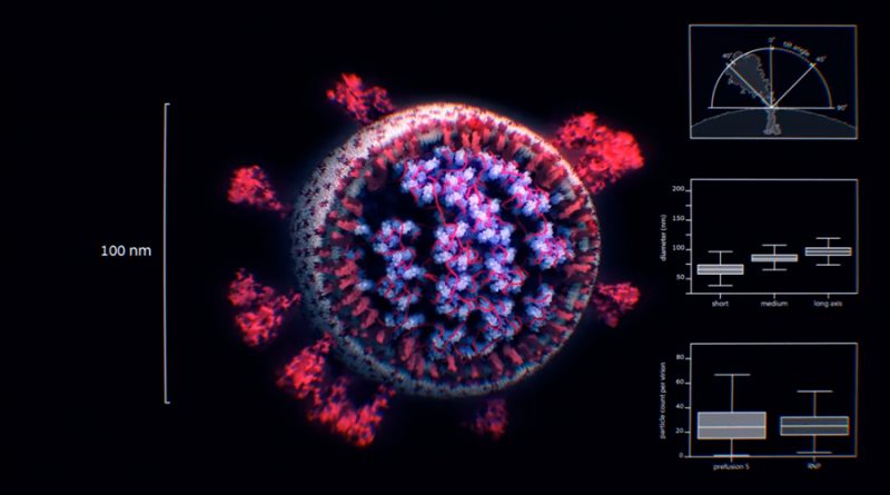 Primeras imágenes reales del covid: así se ve el coronavirus en 3D