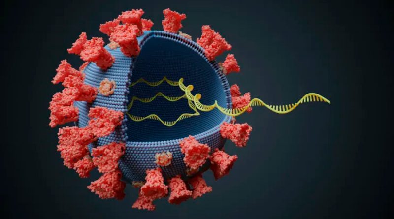 Todo lo que hay que saber sobre las nuevas cepas del coronavirus