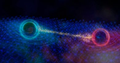 Aparece una nueva partícula cuántica en un nuevo estado de la materia
