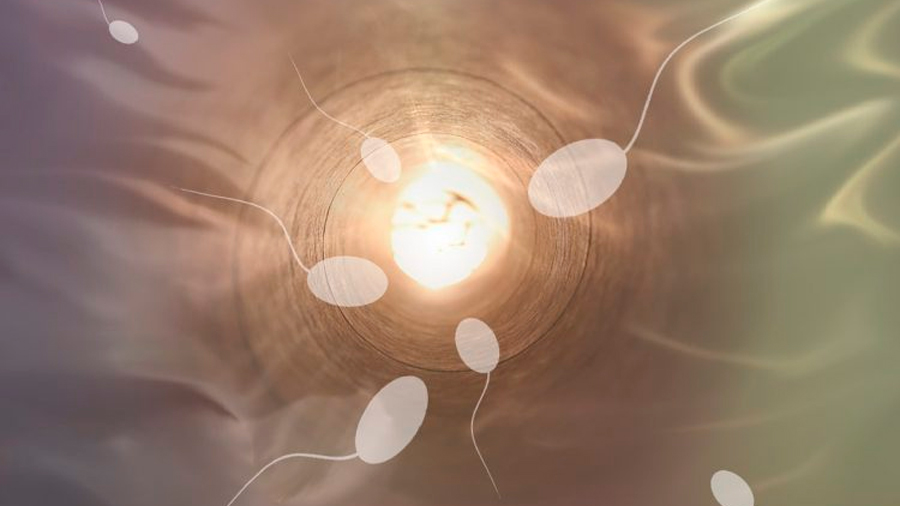 El covid-19 podría alterar la calidad del esperma según estudio