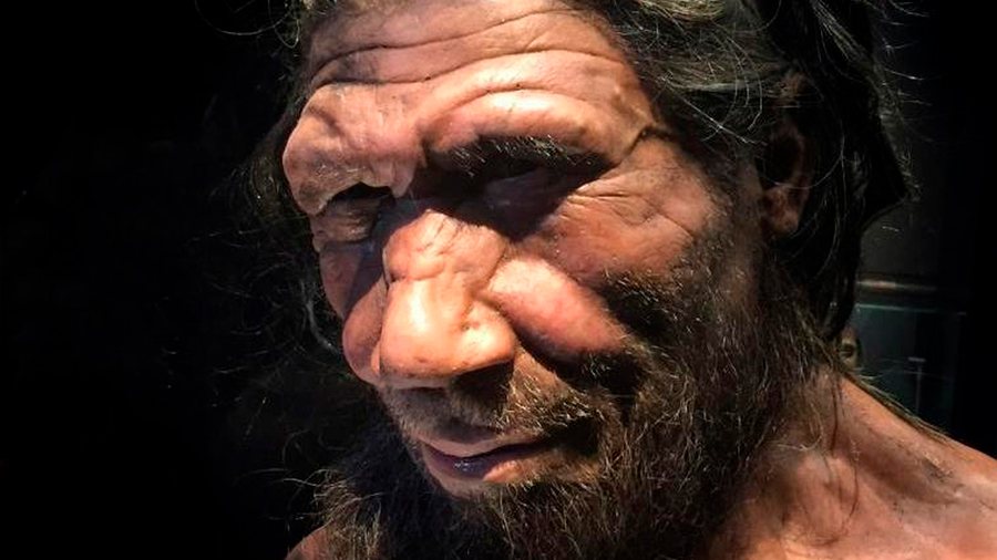 Encuentran evidencia de una especie antigua, híbrida entre seres humanos y neandertales