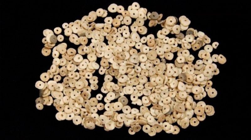 Cazadores y recolectores usaron conchas como moneda hace 2 mil años en América del Norte