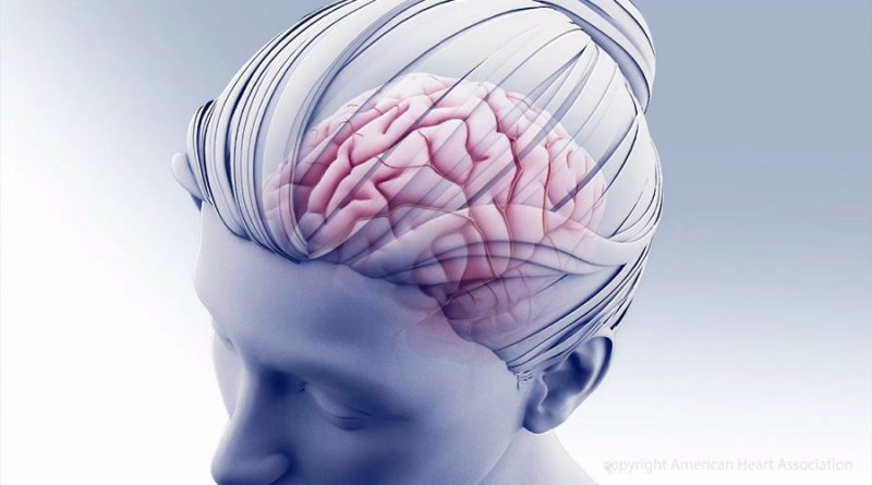Una mayor capacidad intelectual mejora la resistencia a los daños cerebrales