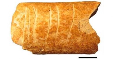 El primer uso de símbolos quedó registrado en un hueso de hace 120 000 años