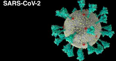Un video animado muestra cómo entra el coronavirus al cuerpo