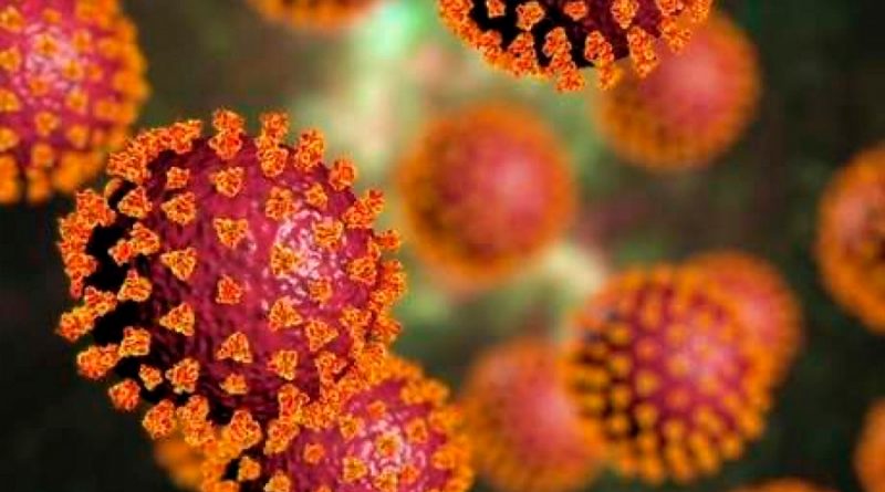 Coronavirus: las 4 señales de alerta que indican el surgimiento de variantes peligrosas