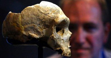 Nuevo hallazgo demuestra que el sexo entre Neandertales y Homo Sapiens fue más común de lo que se creía