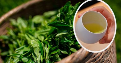 Antioxidante en el té verde aumenta proteína natural contra el cáncer