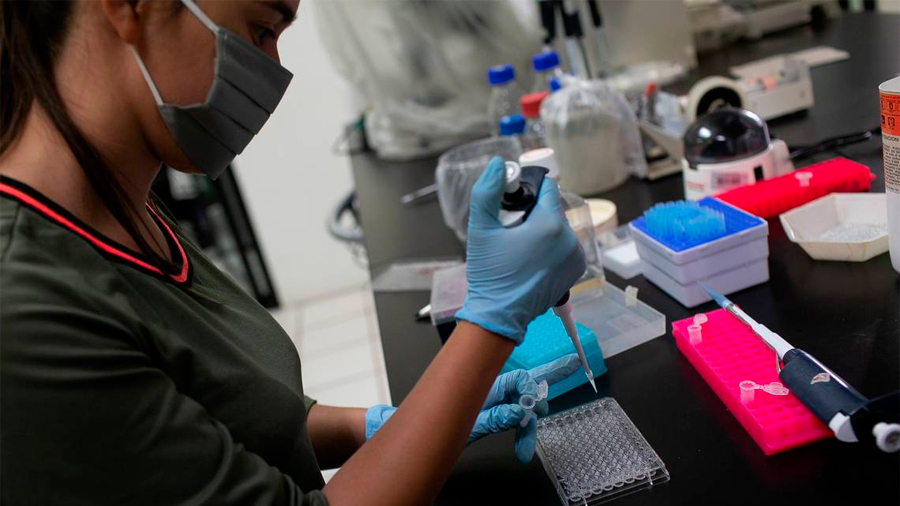 La Universidad Michoacana desarrolla vacuna mexicana contra el covid-19