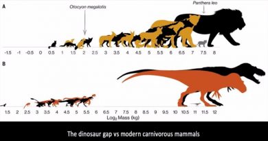 Jóvenes T-Rex tiranizaban a especies rivales más pequeñas