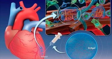 Crean un hidrogel que regenera el tejido cardíaco tras un infarto