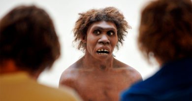Neandertales tenían un sistema de comunicación vocal tan complejo y eficaz como el lenguaje humano