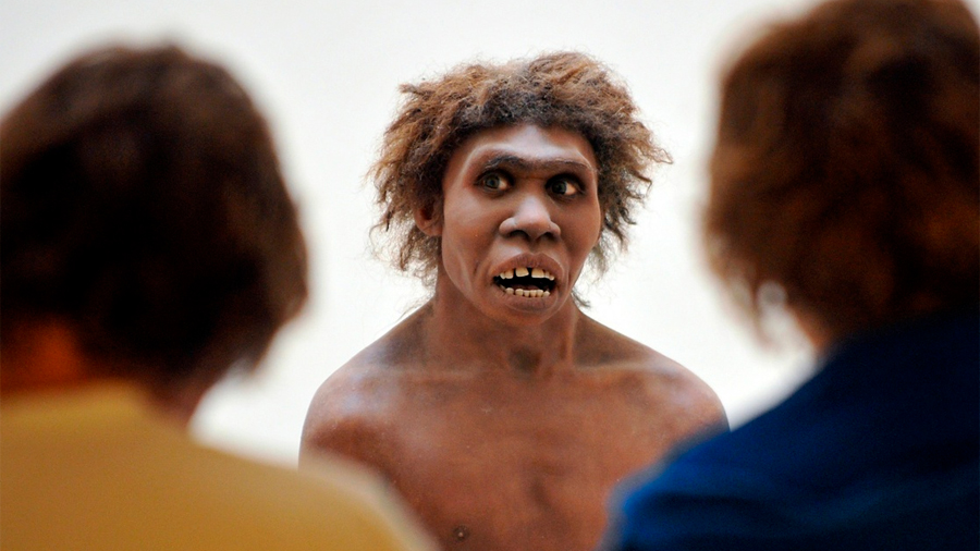 Neandertales tenían un sistema de comunicación vocal tan complejo y eficaz como el lenguaje humano