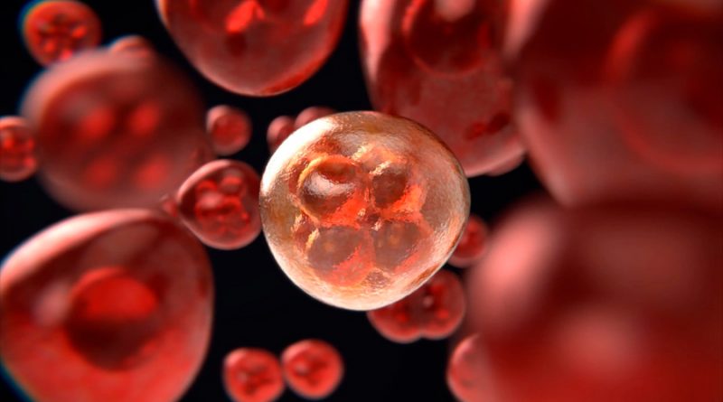 Un nuevo método de secuenciar distingue células madre cancerosas y sanas