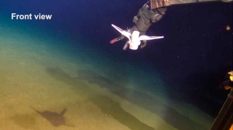 Un robot blando con aspecto de pez consigue nadar en las profundidades de las Marianas