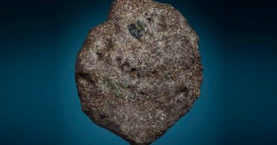 Un meteorito de un antiguo mundo perdido cayó en el Sáhara en 2020