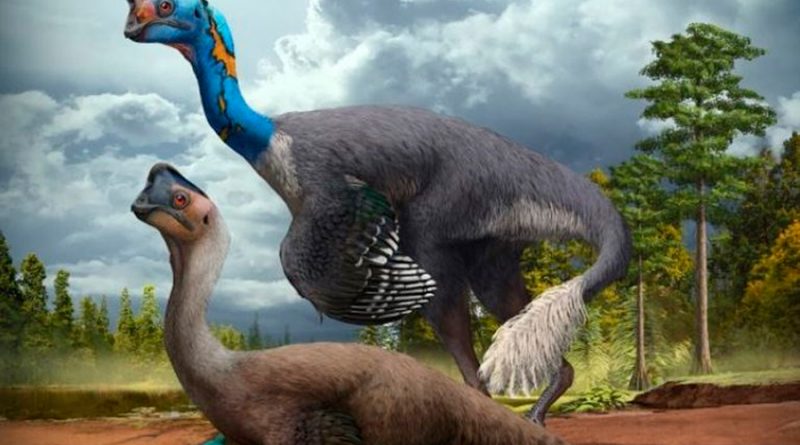 Primer dinosaurio excavado incubando y con crías fosilizadas