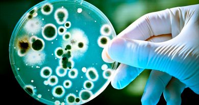 Bacterias resistentes a los antibióticos, ¿la próxima pandemia?