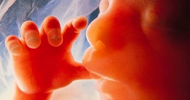 La placenta es un 'vertedero' de defectos genéticos que ayuda al feto a evitarlos o corregirlos