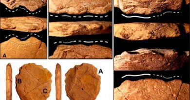 Hallan indicio de que los humanos vivían en América del Sur hace 24 mil años