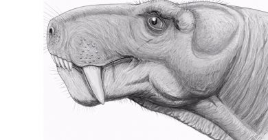 Revelan sorprendente conexión dental entre dinosaurios y mamíferos