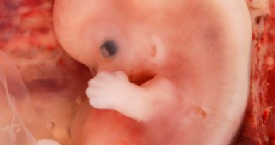 ¿Un embrión es una persona? Esta es la respuesta de biólogo de la UNAM