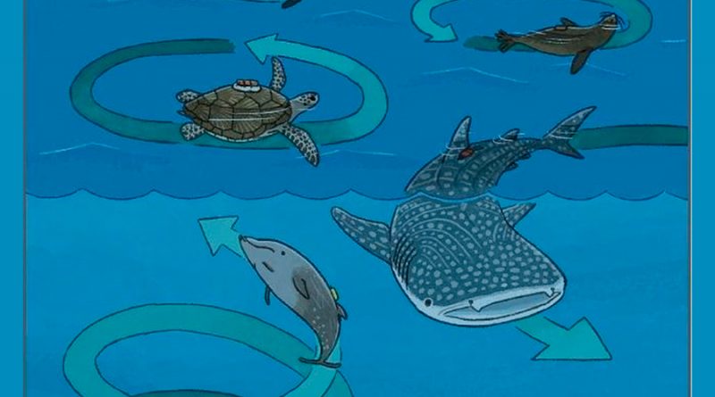 Tiburones, pingüinos y tortugas nadan en círculos y de forma muy parecida